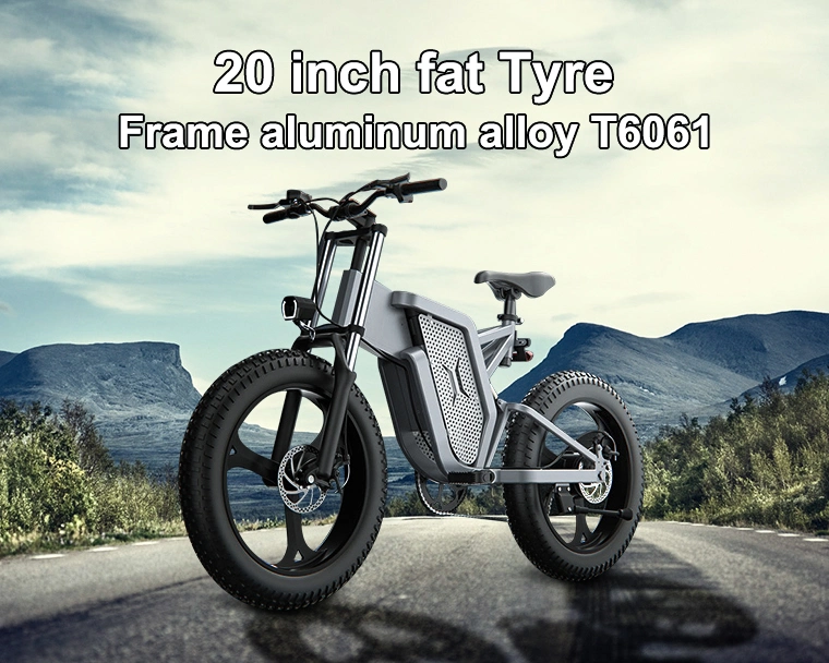 40-120km Ebike Factory Price 1000W 20 Inch Fat Tyre Hidden Battery Electric Bike