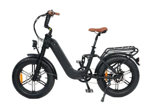 Queene / 48V 750W Batería oculta Neumático grueso Bicicleta eléctrica Suspensión completa Ciclo eléctrico Bicicleta eléctrica de montaña