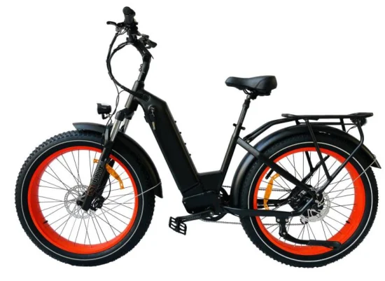 Queene bicicleta de montaña eléctrica E MTB batería bicicleta eléctrica todoterreno Fat Tire bicicleta eléctrica 1000W Ebike