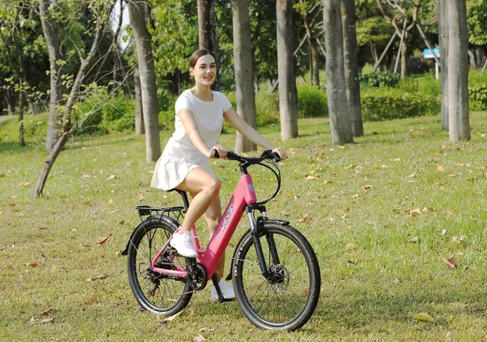 Bicicleta eléctrica urbana de 36V y 48V con batería oculta, bicicleta eléctrica de 26 pulgadas para adultos, personalización de muestra