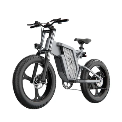 40-120km Ebike Precio de fábrica 1000W Bicicleta eléctrica con batería oculta de neumático gordo de 20 pulgadas