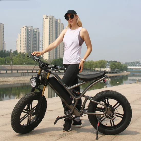 Daurada Hecho en China MTB 7 Velocidad Caza / Escalada / Batería nueva de alta calidad 48V 500W Neumático gordo Bicicleta eléctrica Bicicleta de nieve Motocicleta Bicicleta eléctrica de montaña